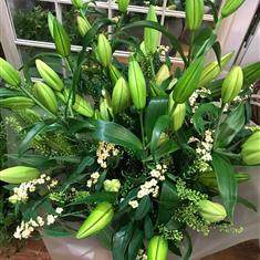 Simply Lilies