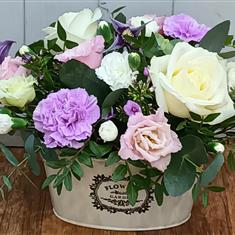 Flower Pot