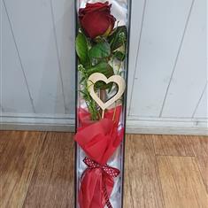 Single Red Rose 