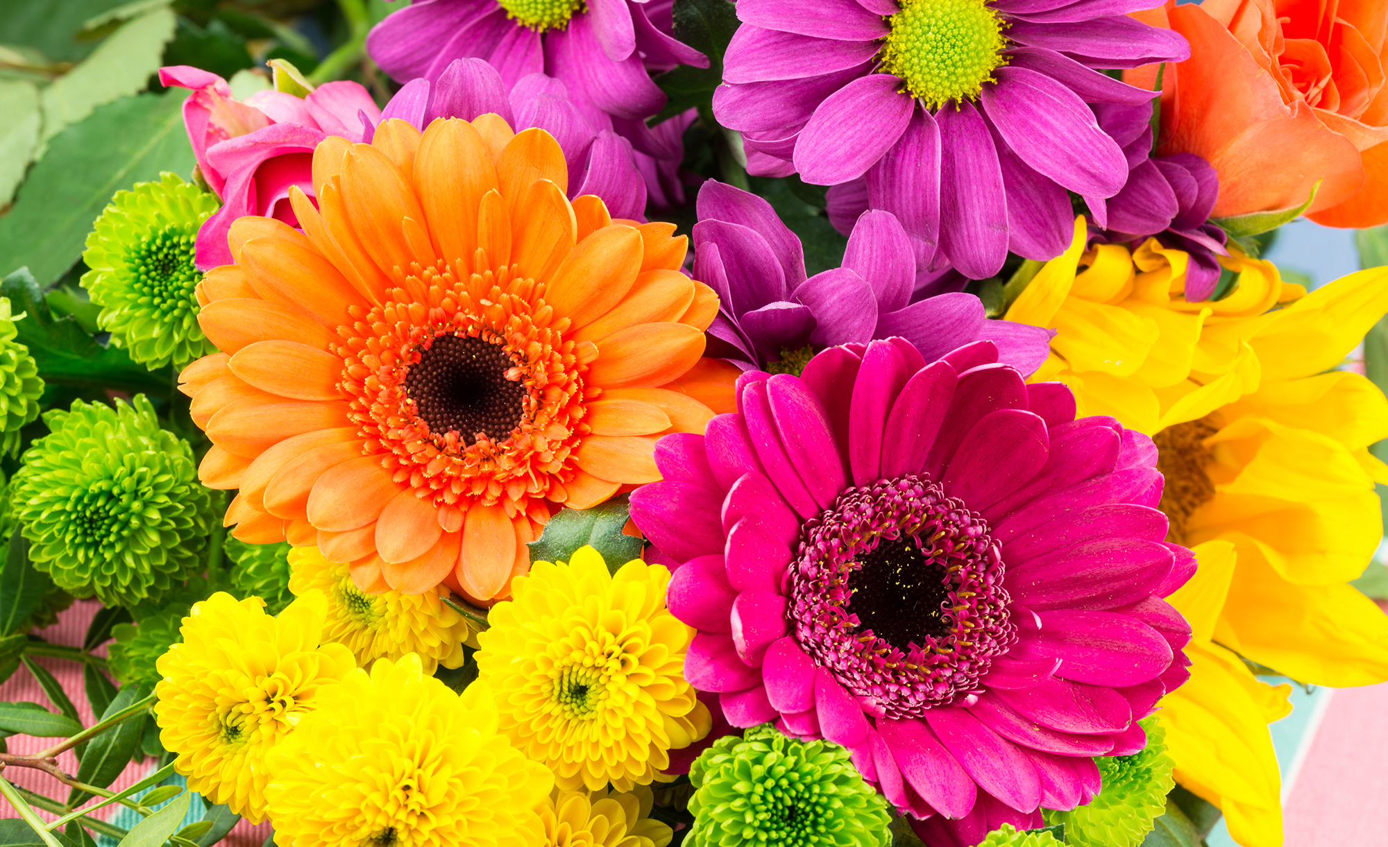Summer Flowers
